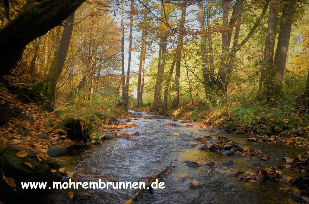 Hotel & Cafe Mohrenbrunnen Eisenberg  Dış mekan fotoğraf