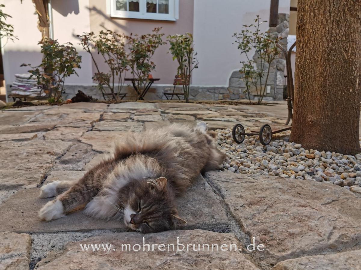 Hotel & Cafe Mohrenbrunnen Eisenberg  Dış mekan fotoğraf